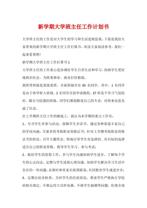 新学期大学班主任工作计划书