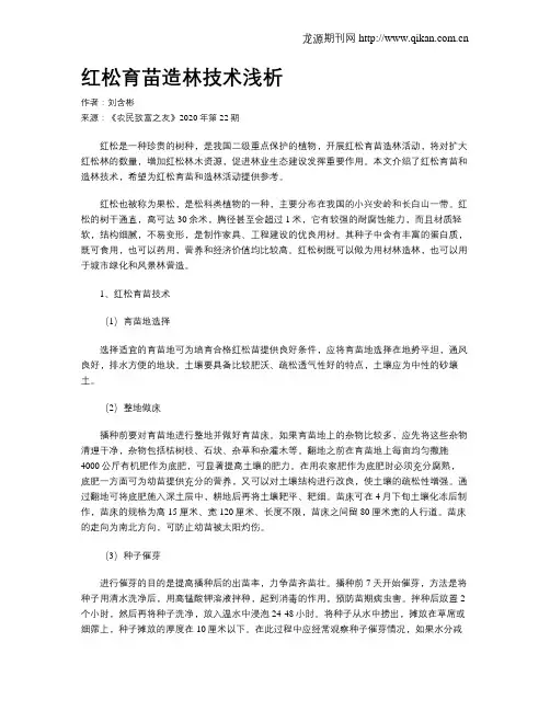 红松育苗造林技术浅析