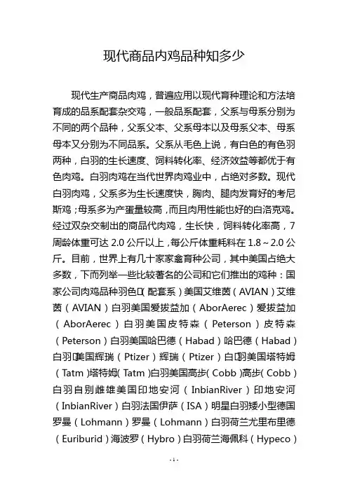 现代商品内鸡品种知多少