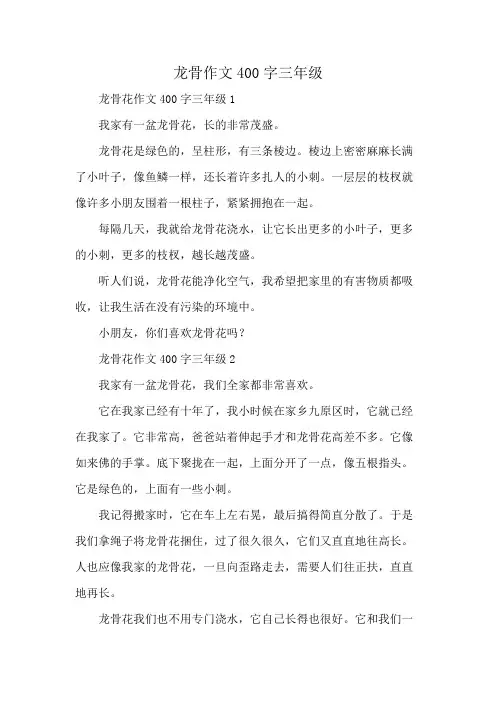 龙骨作文400字三年级