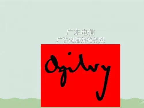 广东电信广告沟通策略方案ppt(共89页)