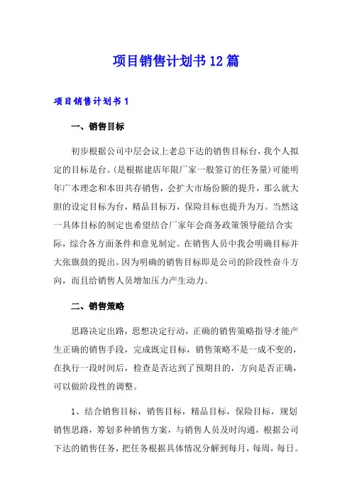 项目销售计划书12篇