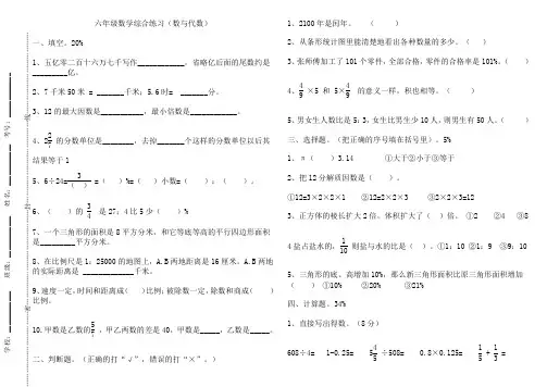 小学北师大版六年级数学小升初数与代数复习试卷