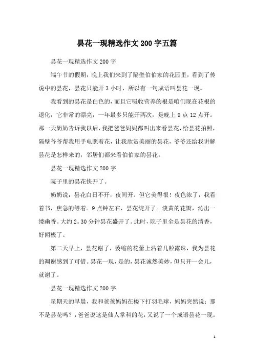 昙花一现精选作文200字五篇