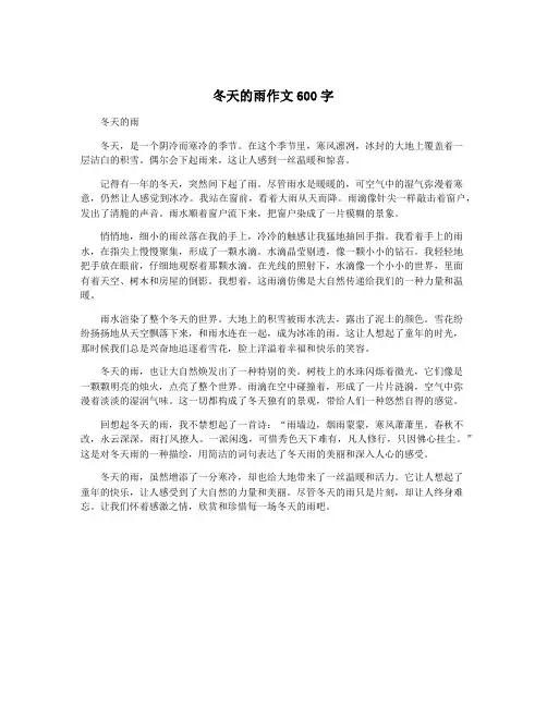 冬天的雨作文600字
