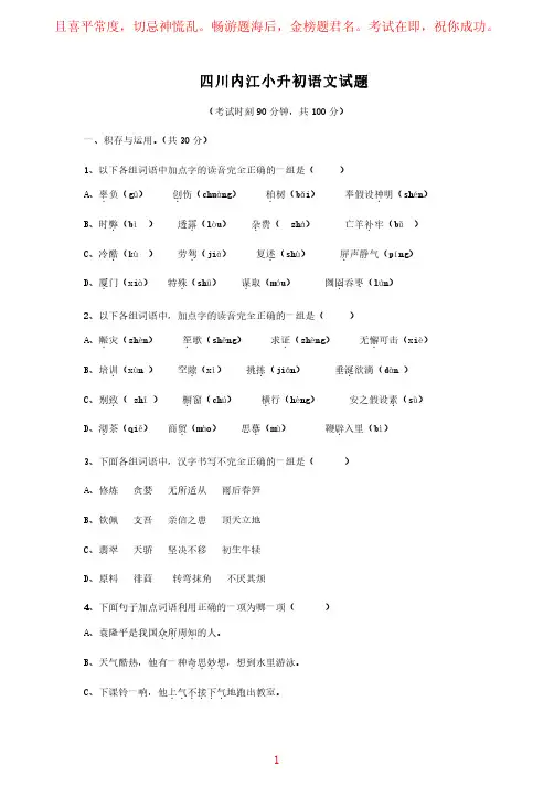 小升初语文试题试卷及答案 