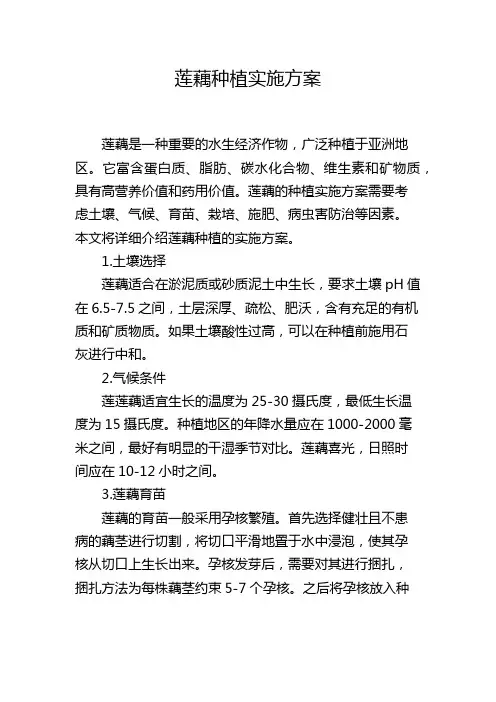 莲藕种植实施方案