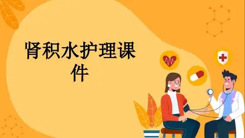 肾积水护理课件