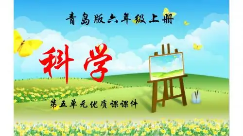青岛版科学六年级上册第五单元全单元课件【精品】