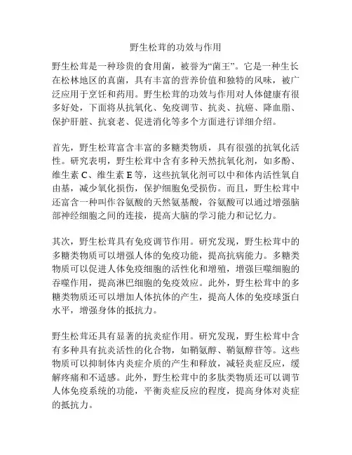 野生松茸的功效与作用