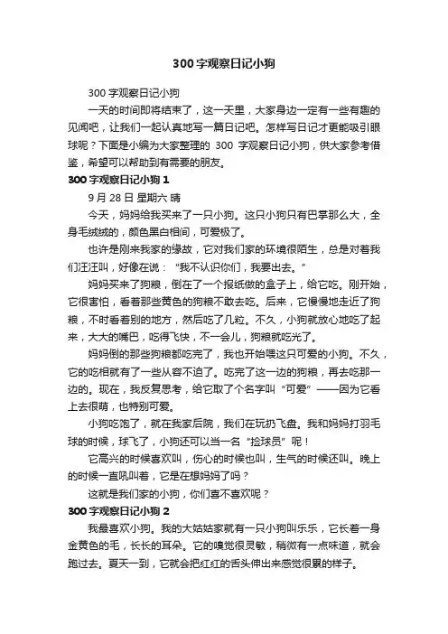 300字观察日记小狗