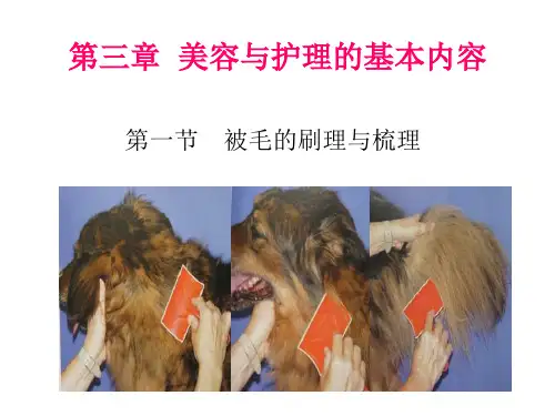 第三章  宠物美容与护理的基本内容