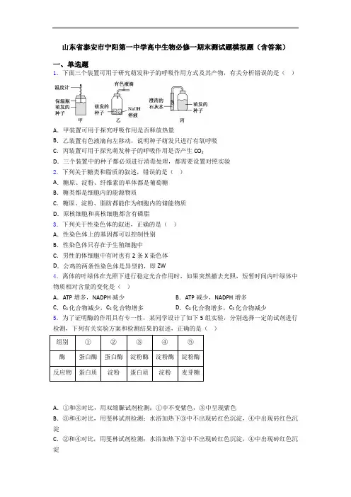 山东省泰安市宁阳第一中学高中生物必修一期末测试题模拟题(含答案)
