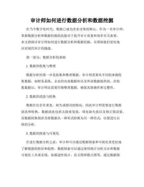 审计师如何进行数据分析和数据挖掘