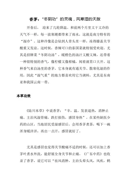 香茅：“冬阴功”的灵魂,风寒湿的天敌