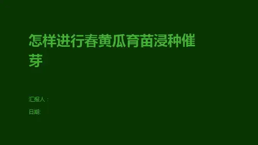 怎样进行春黄瓜育苗浸种催芽