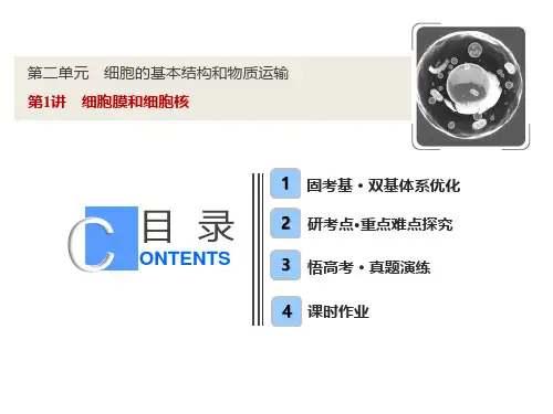 高考生物一轮复习第二单元细胞的基本结构和物质运输第