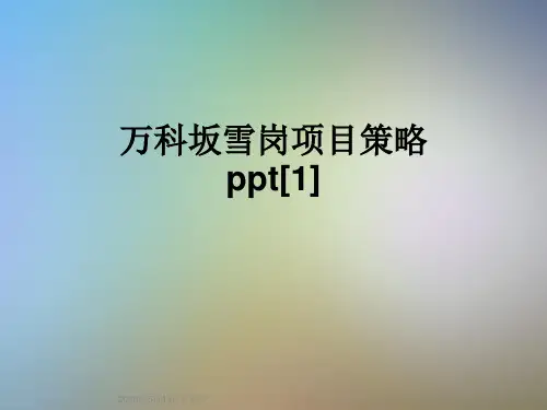 万科坂雪岗项目策略ppt[1]
