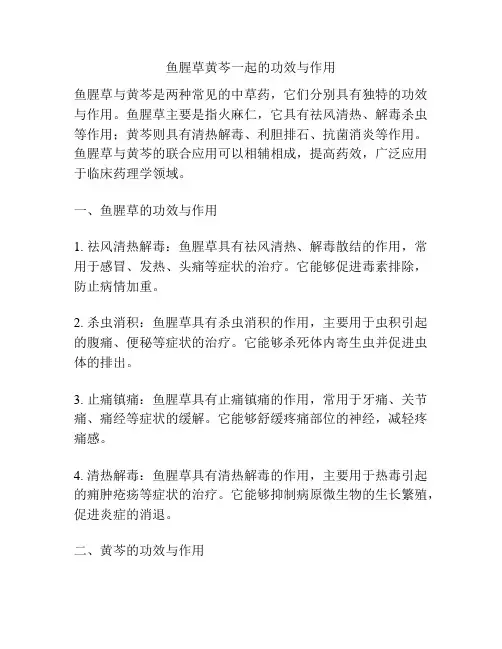 鱼腥草黄芩一起的功效与作用