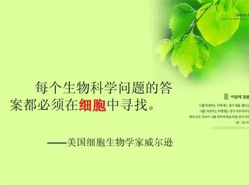 人教版教学课件1.1 从生物圈到细胞1