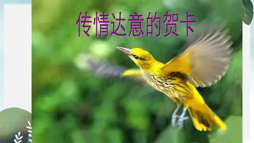 七年级美术上册第三单元多彩的团队美术活动第5课传情达意的贺卡课件2岭南版