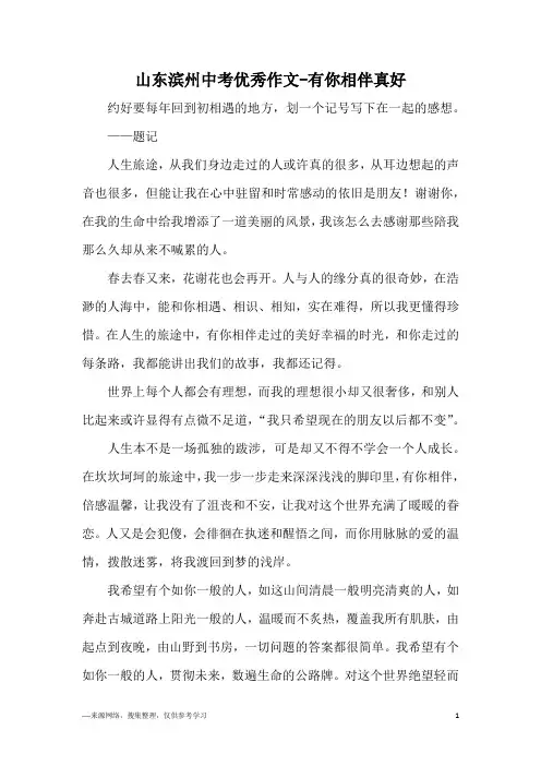 山东滨州中考优秀作文-有你相伴真好