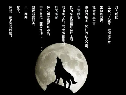 精品ppt 读书推荐《狼王梦》