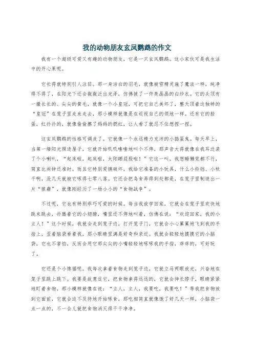 我的动物朋友玄凤鹦鹉的作文