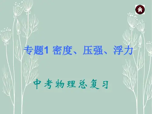 中考物理专题复习《专题1_密度、压强、浮力》ppt课件