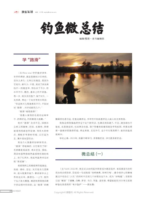 钓鱼微总结