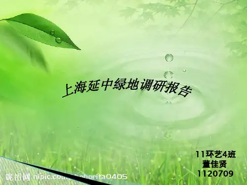 上海延中绿地
