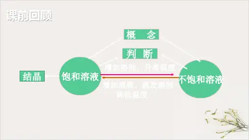 第9单元溶解度PPT溶解度及溶解度曲线—九年级化学人教版下册精品课件