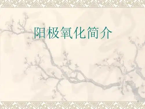 阳极氧化原理培训资料-医学课件
