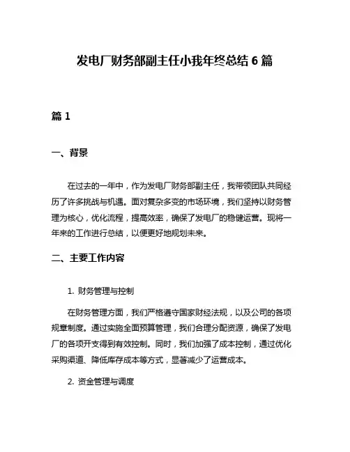 发电厂财务部副主任小我年终总结6篇