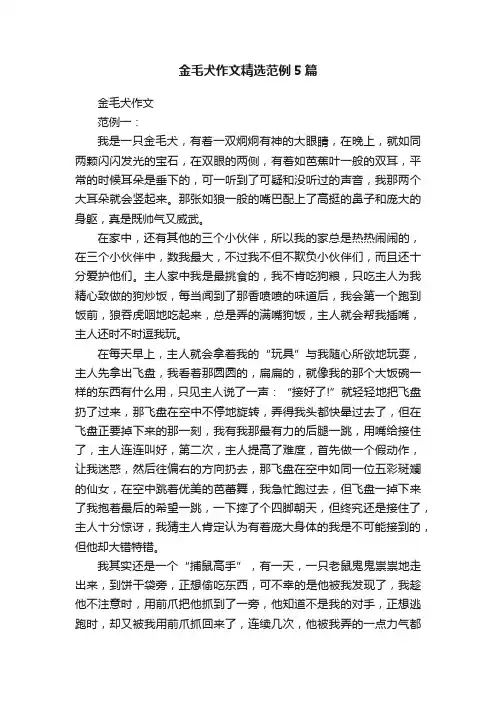 金毛犬作文精选范例5篇