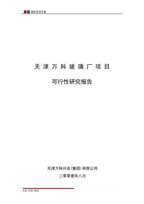 【报告】天 津  玻 璃 厂 项 目(实用文案)