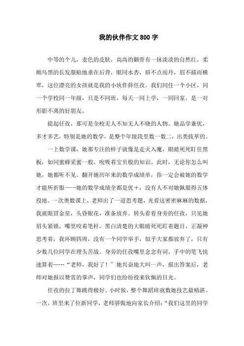 我的伙伴作文800字精选