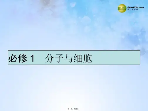 高考生物一轮复习 1.1 走近细胞课件 新人教版必修1