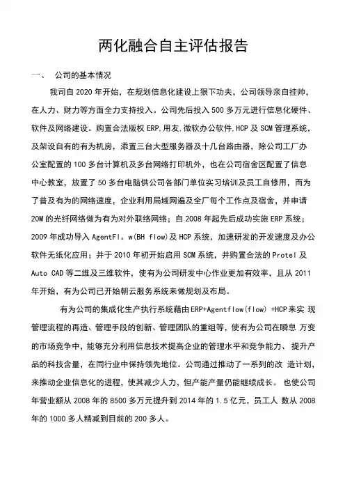 两化融合自主评估报告