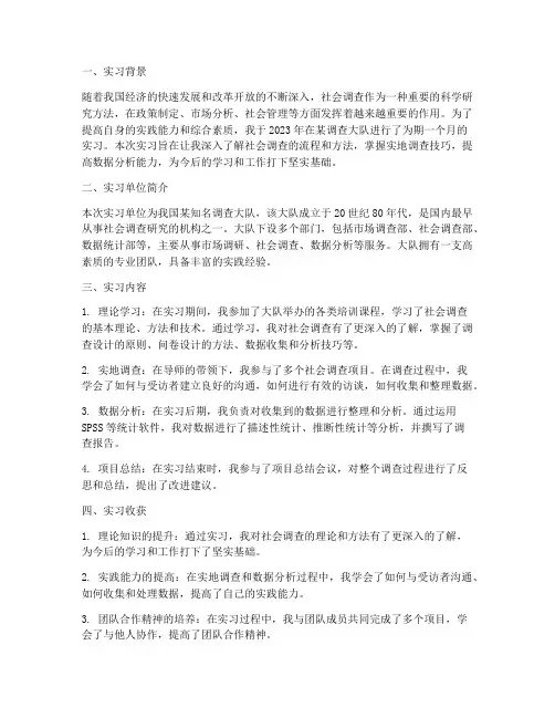 调查大队实习报告