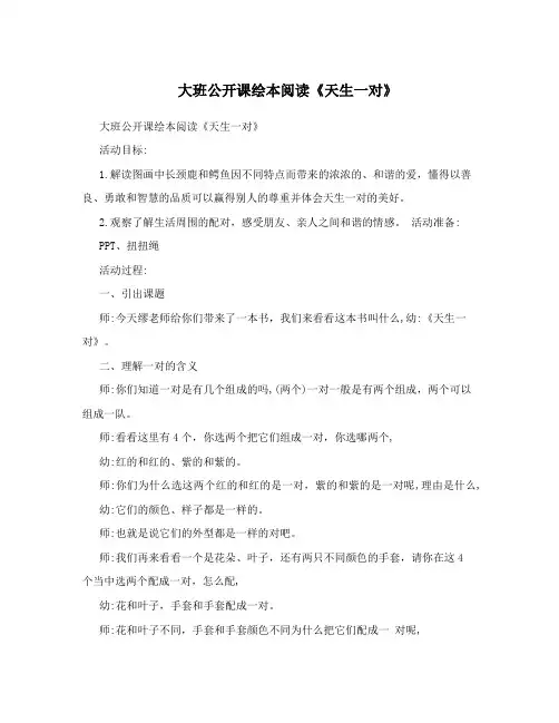 大班公开课绘本阅读《天生一对》