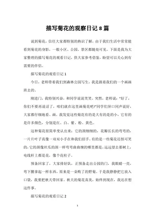 描写菊花的观察日记8篇