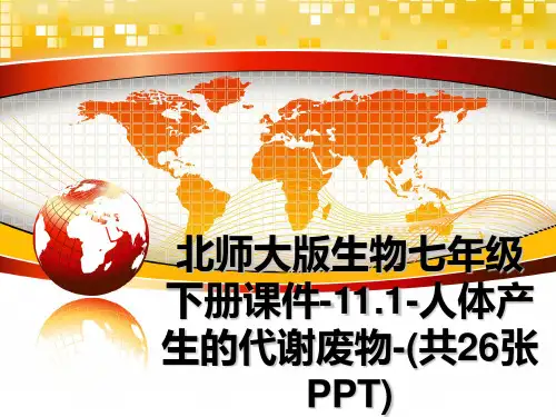 最新北师大版生物七年级下册课件-11.1-人体产生的代谢废物-(共26张PPT)精品文档