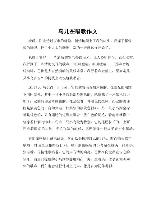 鸟儿在唱歌作文