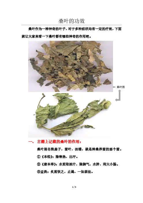 桑叶的功效