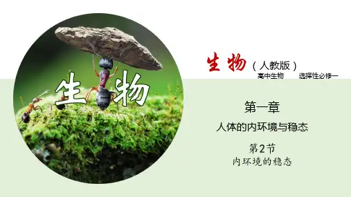 1.2 内环境的稳态 高二上学期生物学(二)(2019人教版选择性必修1)