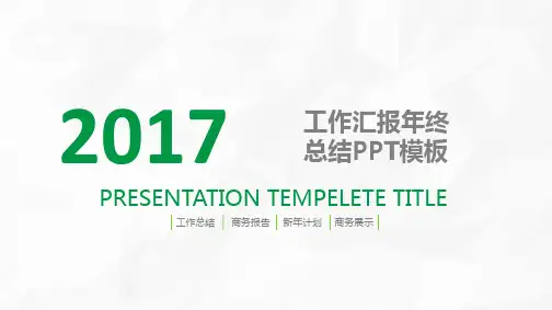 2017年商务展示、工作总结、新年计划、商务报告ppt模板