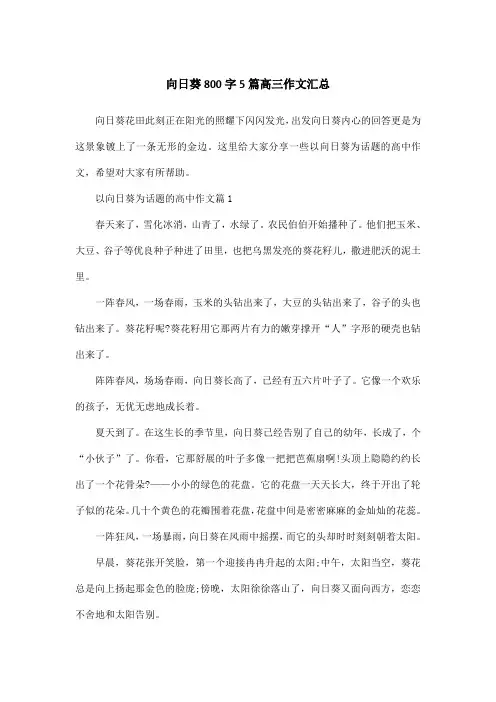 向日葵800字5篇高三作文汇总
