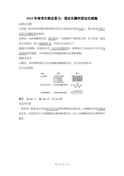 固定化酶和固定化细胞
