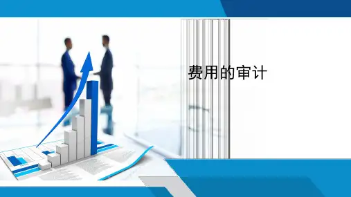 费用的审计